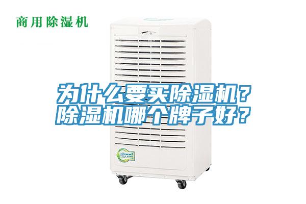 為什麽要買蘑菇视频网站？蘑菇视频网站哪個牌子好？