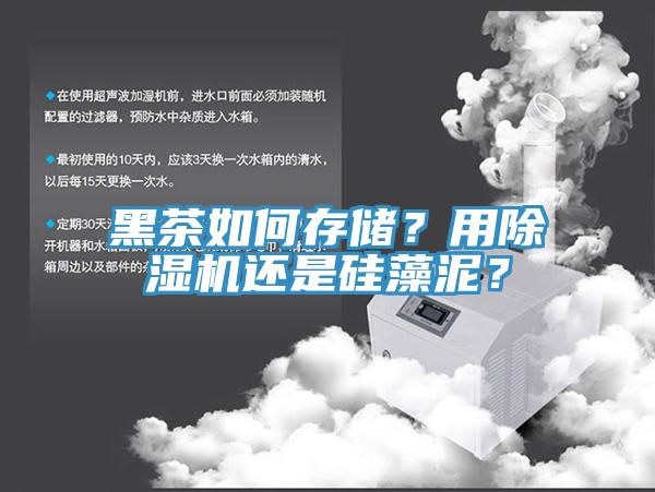 黑茶如何存儲？用蘑菇视频网站還是矽藻泥？