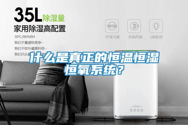 什麽是真正的恒溫恒濕恒氧係統？