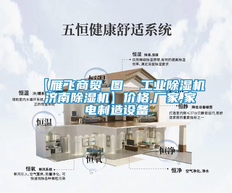 【雁飛商貿 圖  工業蘑菇视频网站 濟南蘑菇视频网站】價格,廠家,家電製造設備