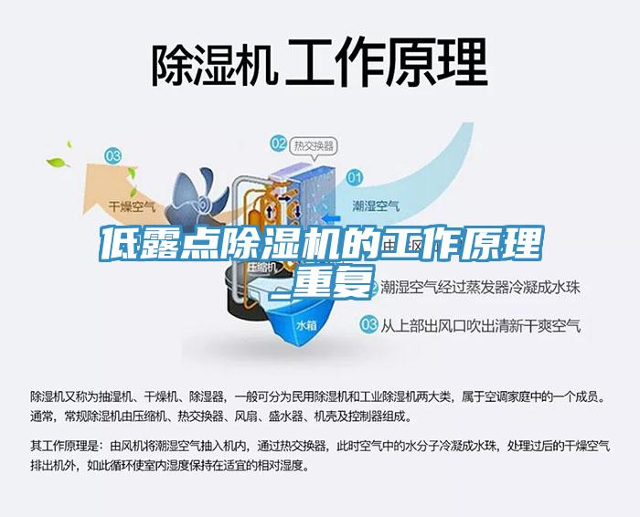 低露點蘑菇视频网站的工作原理_重複