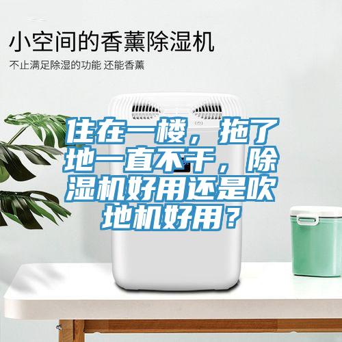 住在一樓，拖了地一直不幹，蘑菇视频网站好用還是吹地機好用？