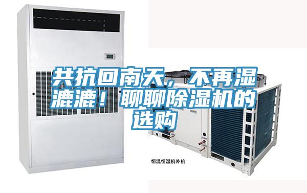 共抗回南天，不再濕漉漉！聊聊蘑菇视频网站的選購