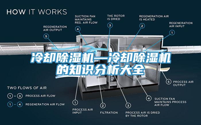 冷卻蘑菇视频网站—冷卻蘑菇视频网站的知識分析大全