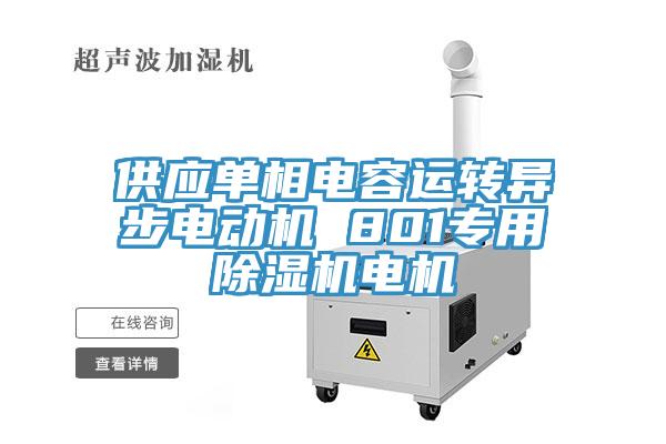 供應單相電容運轉異步電動機 801專用蘑菇视频网站電機