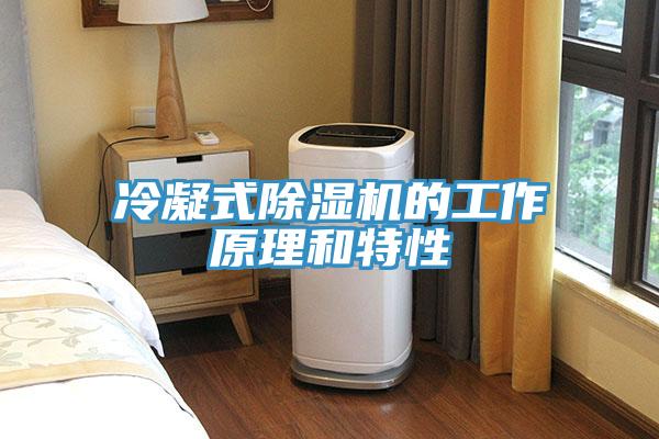 冷凝式蘑菇视频网站的工作原理和特性
