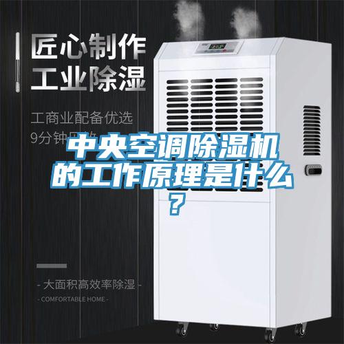 中央空調蘑菇视频网站的工作原理是什麽？