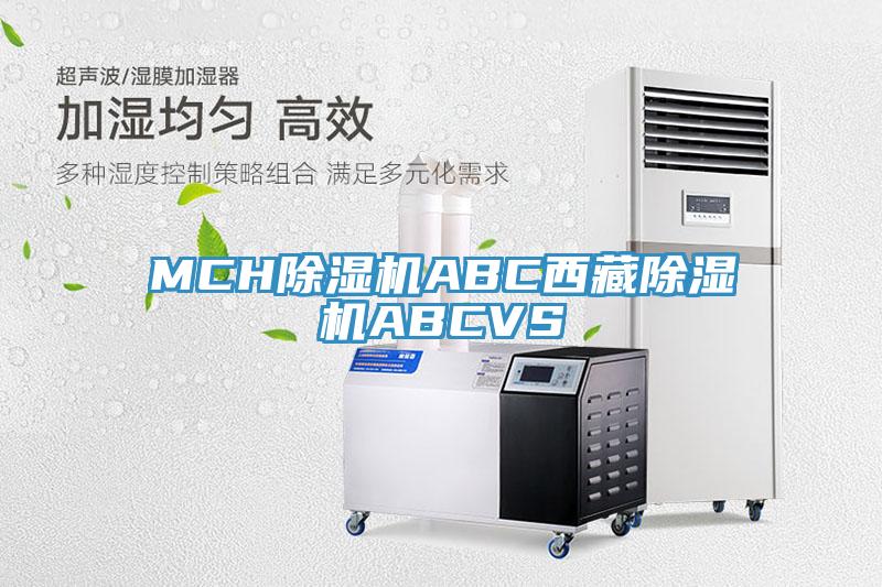 MCH蘑菇视频网站ABC西藏蘑菇视频网站ABCVS
