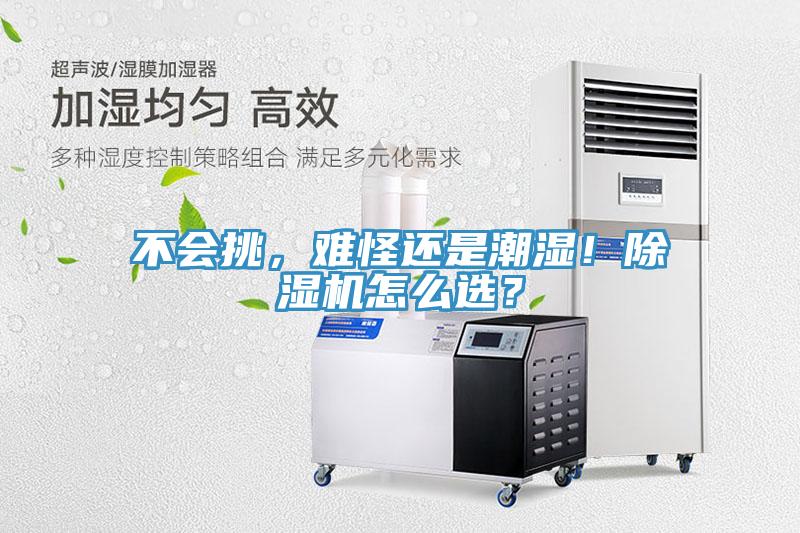 不會挑，難怪還是潮濕！蘑菇视频网站怎麽選？