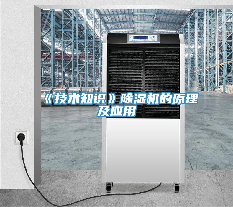 《技術知識》蘑菇视频网站的原理及應用