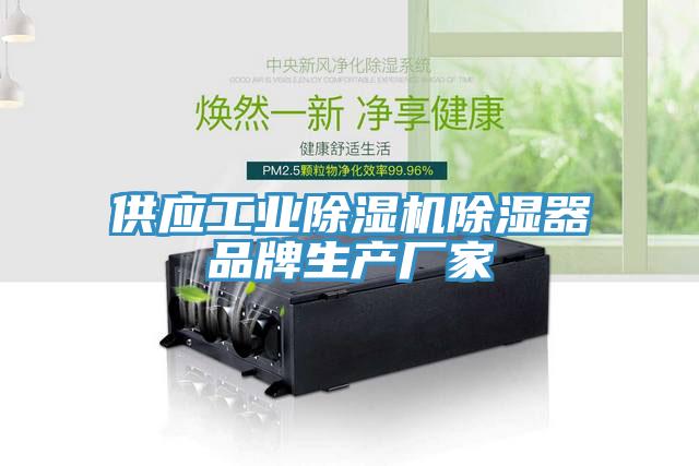 供應工業蘑菇视频网站除濕器品牌生產廠家