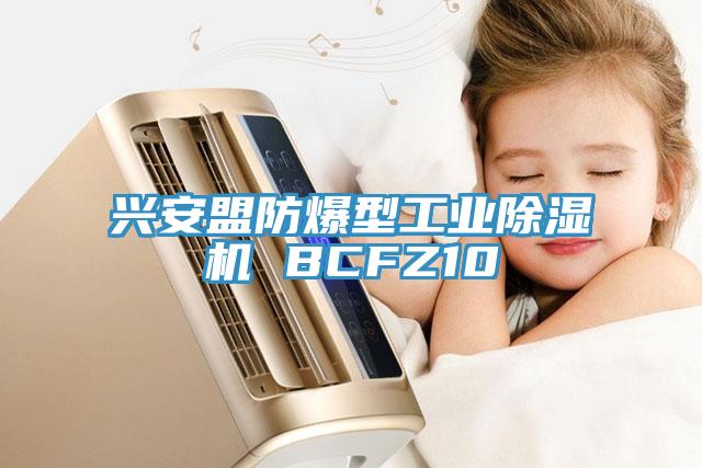興安盟防爆型工業蘑菇视频网站 BCFZ10