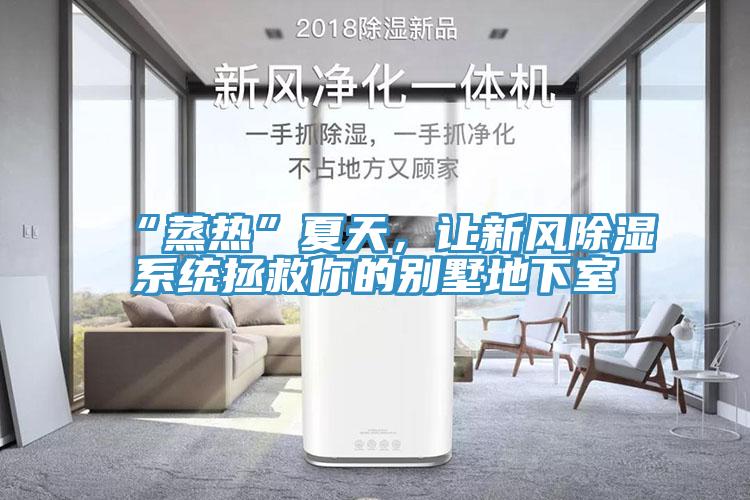 “蒸熱”夏天，讓新風除濕係統拯救你的別墅地下室