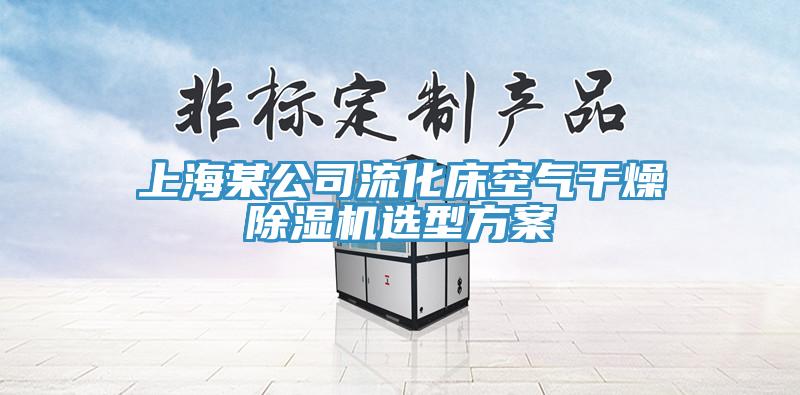 上海某公司流化床空氣幹燥蘑菇视频网站選型方案