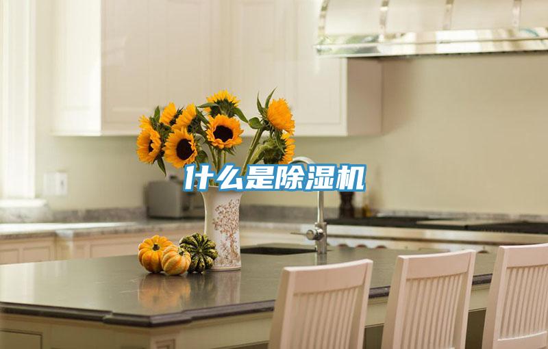 什麽是蘑菇视频网站
