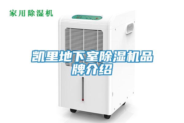 凱裏地下室蘑菇视频网站品牌介紹