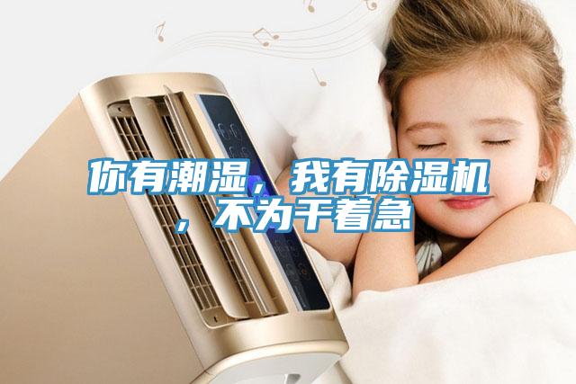 你有潮濕，我有蘑菇视频网站，不為幹著急
