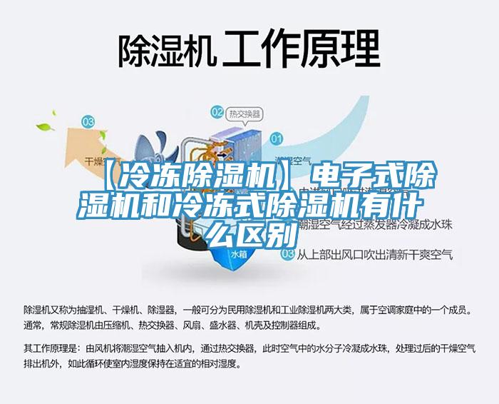 【冷凍蘑菇视频网站】電子式蘑菇视频网站和冷凍式蘑菇视频网站有什麽區別
