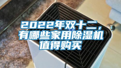 2022年雙十二，有哪些家用蘑菇视频网站值得購買