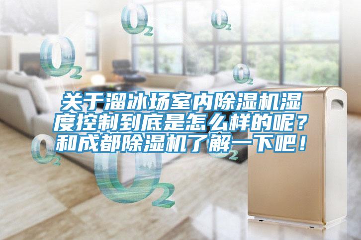 關於溜冰場室內蘑菇视频网站濕度控製到底是怎麽樣的呢？和成都蘑菇视频网站了解一下吧！