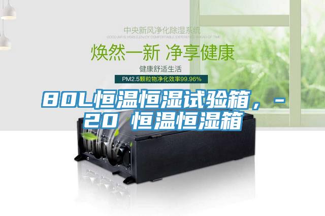 80L恒溫恒濕試驗箱，-20℃恒溫恒濕箱