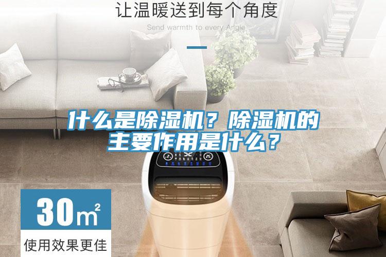 什麽是蘑菇视频网站？蘑菇视频网站的主要作用是什麽？