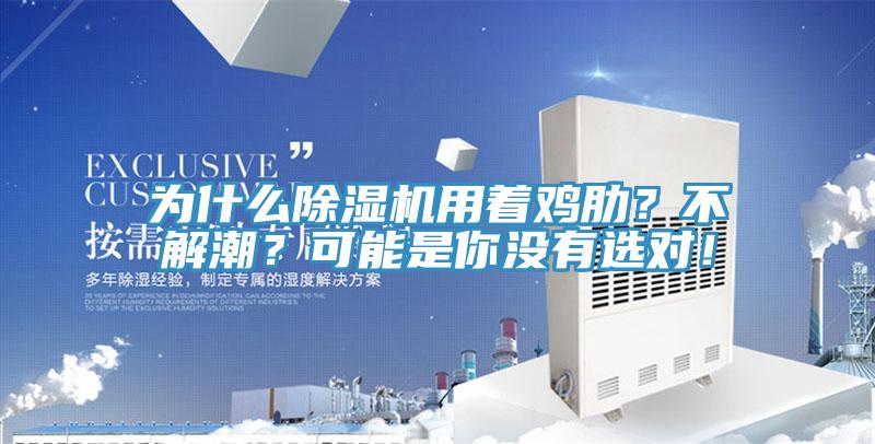 為什麽蘑菇视频网站用著雞肋？不解潮？可能是你沒有選對！