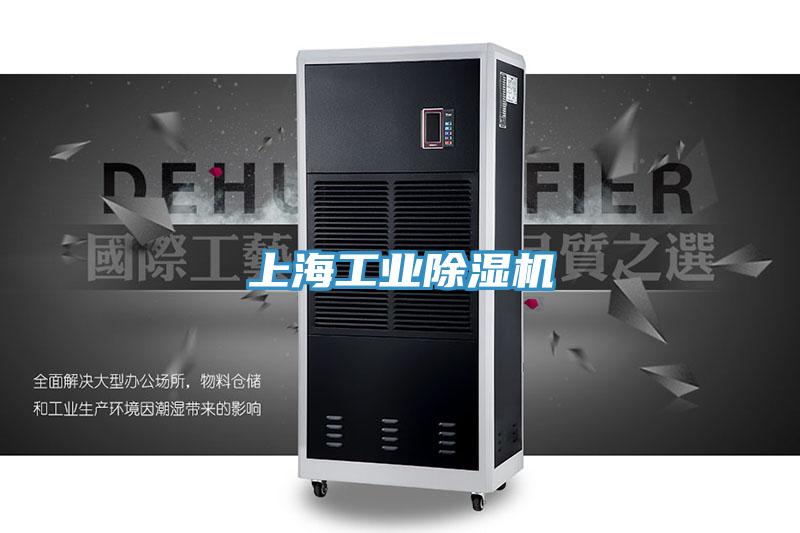上海工業蘑菇视频网站