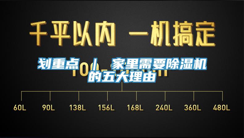 劃重點 ｜ 家裏需要蘑菇视频网站的五大理由