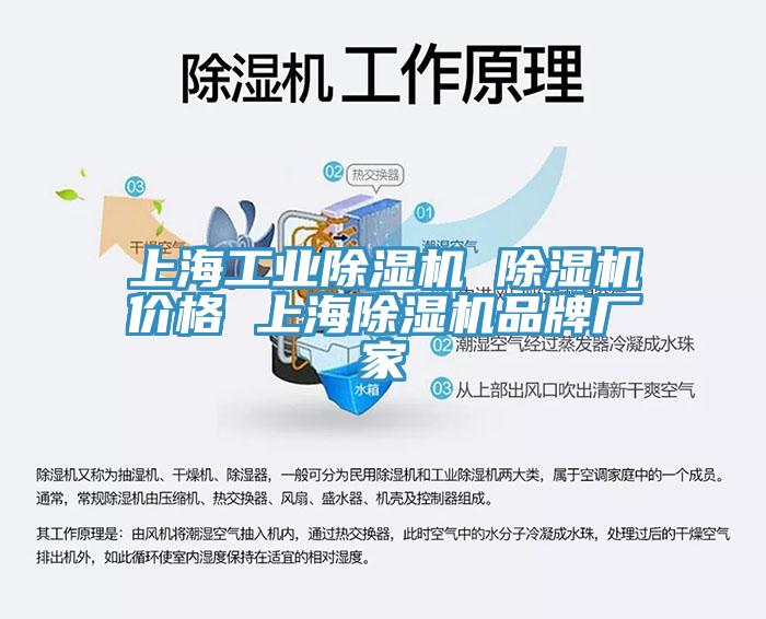 上海工業蘑菇视频网站 蘑菇视频网站價格 上海蘑菇视频网站品牌廠家