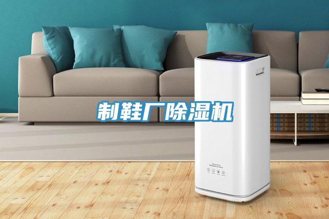 製鞋廠蘑菇视频网站