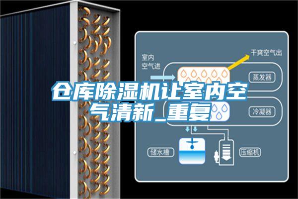倉庫蘑菇视频网站讓室內空氣清新_重複