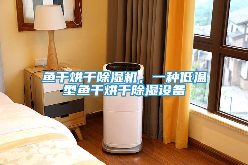 魚幹烘幹蘑菇视频网站，一種低溫型魚幹烘幹除濕設備