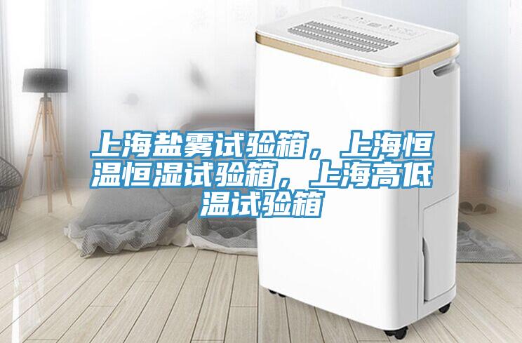 上海鹽霧試驗箱，上海恒溫恒濕試驗箱，上海高低溫試驗箱