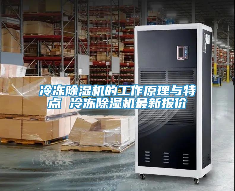 冷凍蘑菇视频网站的工作原理與特點 冷凍蘑菇视频网站最新報價