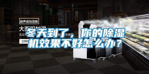 冬天到了，你的蘑菇视频网站效果不好怎麽辦？