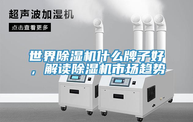 世界蘑菇视频网站什麽牌子好，解讀蘑菇视频网站市場趨勢