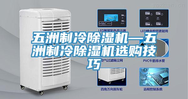 五洲製冷蘑菇视频网站—五洲製冷蘑菇视频网站選購技巧