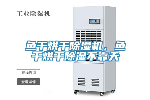 魚幹烘幹蘑菇视频网站，魚幹烘幹除濕不靠天