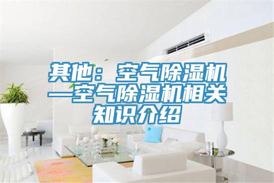 其他：空氣蘑菇视频网站—空氣蘑菇视频网站相關知識介紹