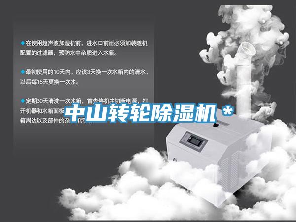中山轉輪蘑菇视频网站＊