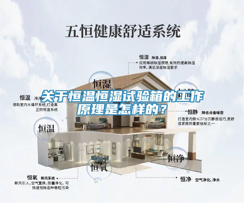 關於恒溫恒濕試驗箱的工作原理是怎樣的？