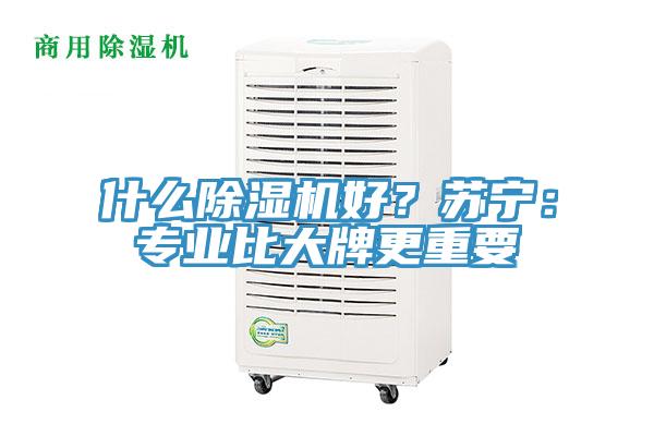 什麽蘑菇视频网站好？蘇寧：專業比大牌更重要