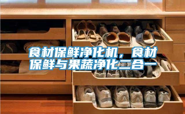 食材保鮮淨化機，食材保鮮與果蔬淨化二合一