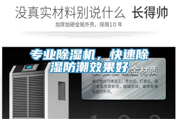 專業蘑菇视频网站，快速除濕防潮效果好