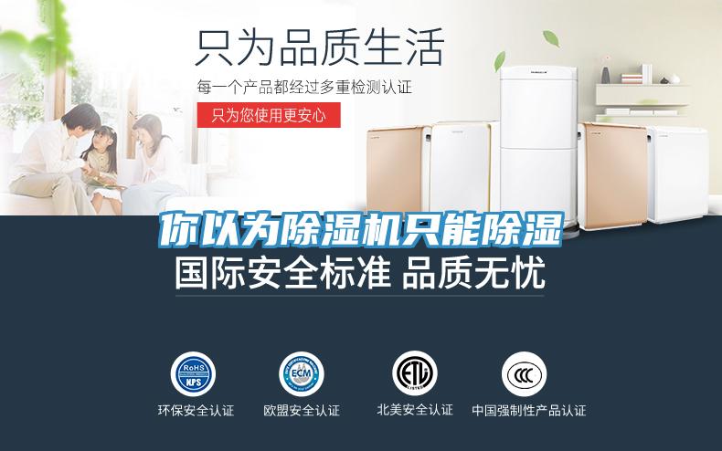 你以為蘑菇视频网站隻能除濕