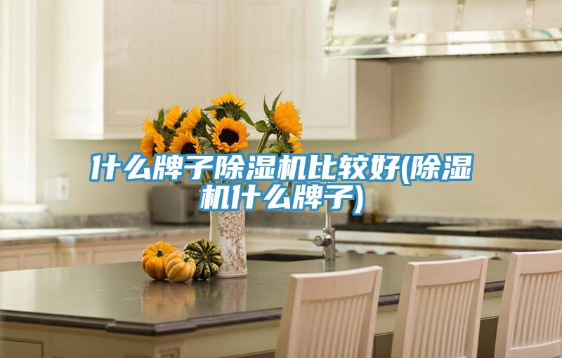 什麽牌子蘑菇视频网站比較好(蘑菇视频网站什麽牌子)