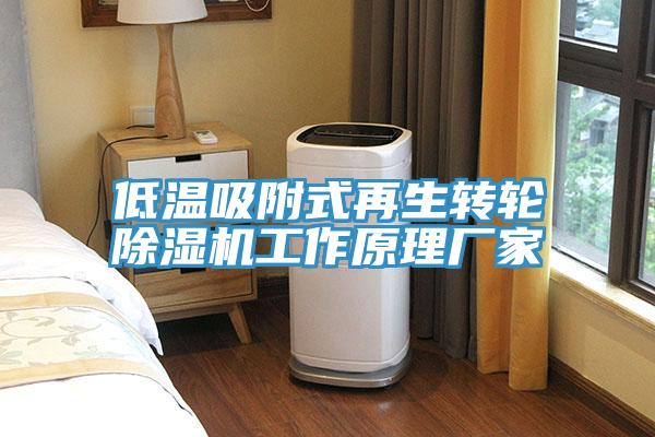 低溫吸附式再生轉輪蘑菇视频网站工作原理廠家