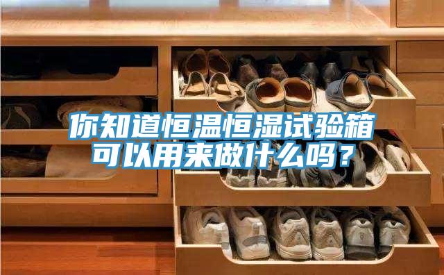 你知道恒溫恒濕試驗箱可以用來做什麽嗎？