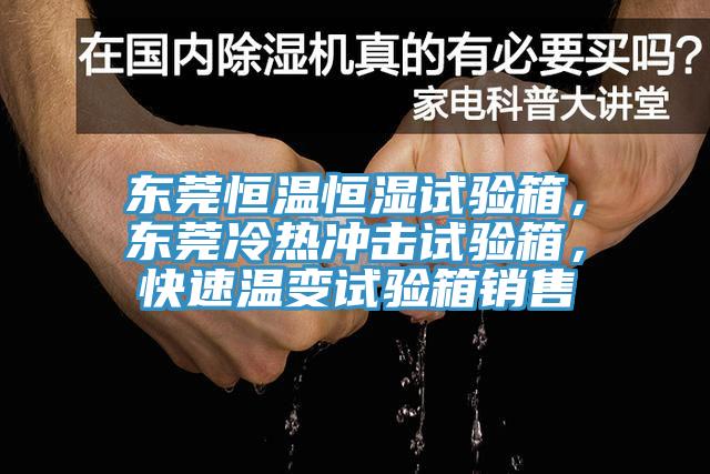 東莞恒溫恒濕試驗箱，東莞冷熱衝擊試驗箱，快速溫變試驗箱銷售
